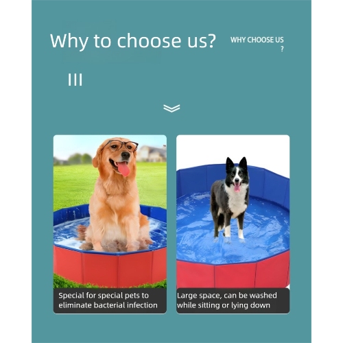 Summer is Here How to Keep Your Dog Cool and Recognize Heatstroke Symptoms